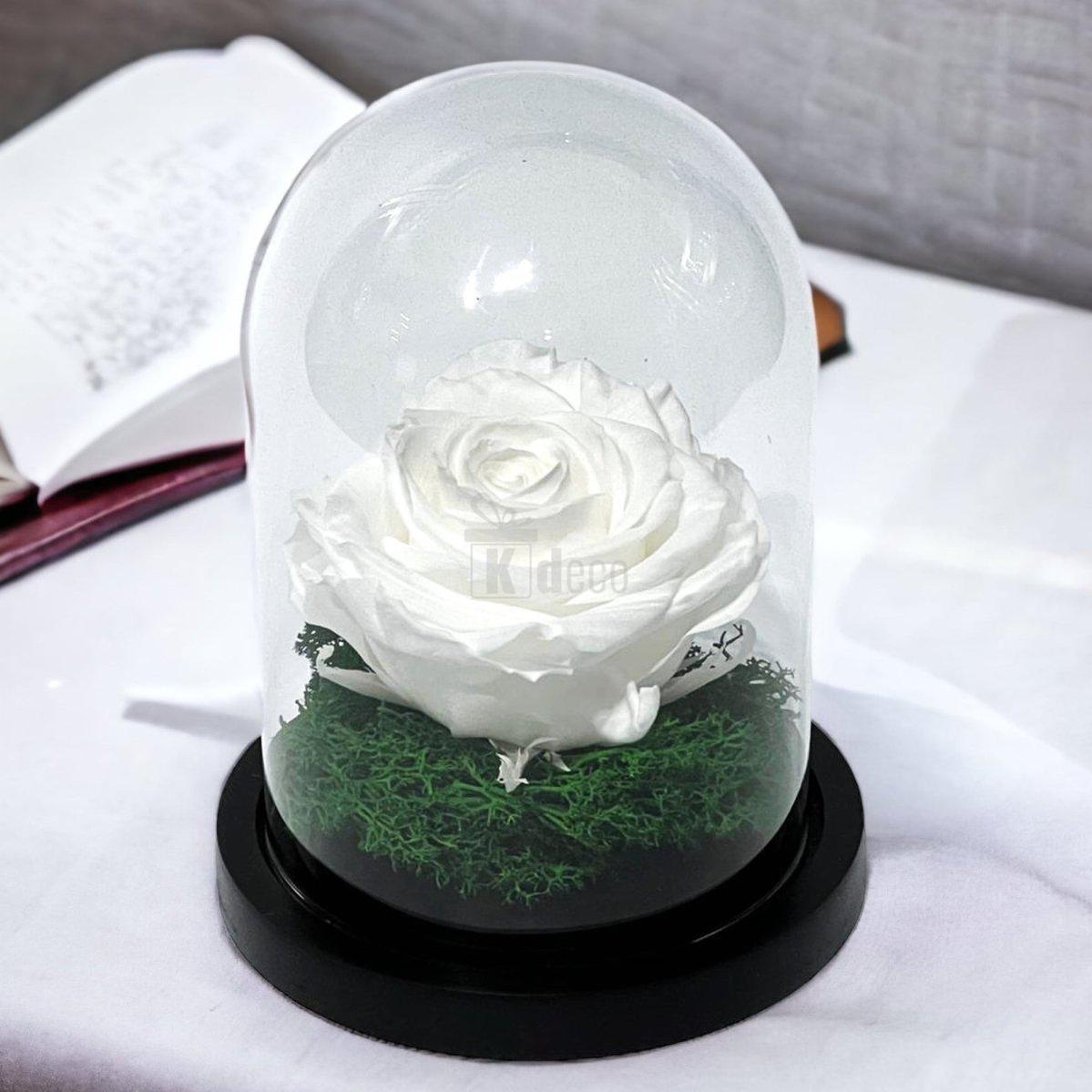 Trandafir Criogenat Premium Alb in Cupola de Sticla - 8cm Diametru, 10x15cm, Blat Lemn - Kdeco.ro