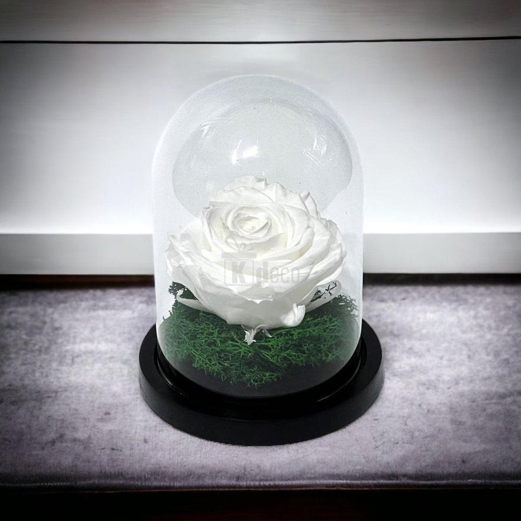 Trandafir Criogenat Premium Alb in Cupola de Sticla - 8cm Diametru, 10x15cm, Blat Lemn - Kdeco.ro