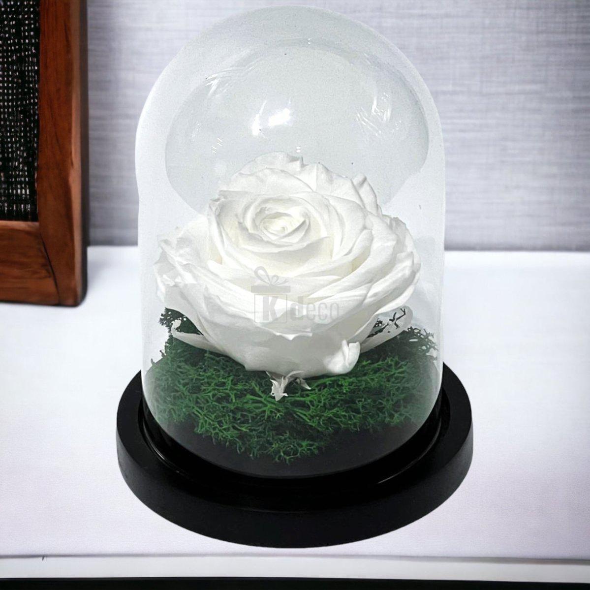Trandafir Criogenat Premium Alb in Cupola de Sticla - 8cm Diametru, 10x15cm, Blat Lemn - Kdeco.ro