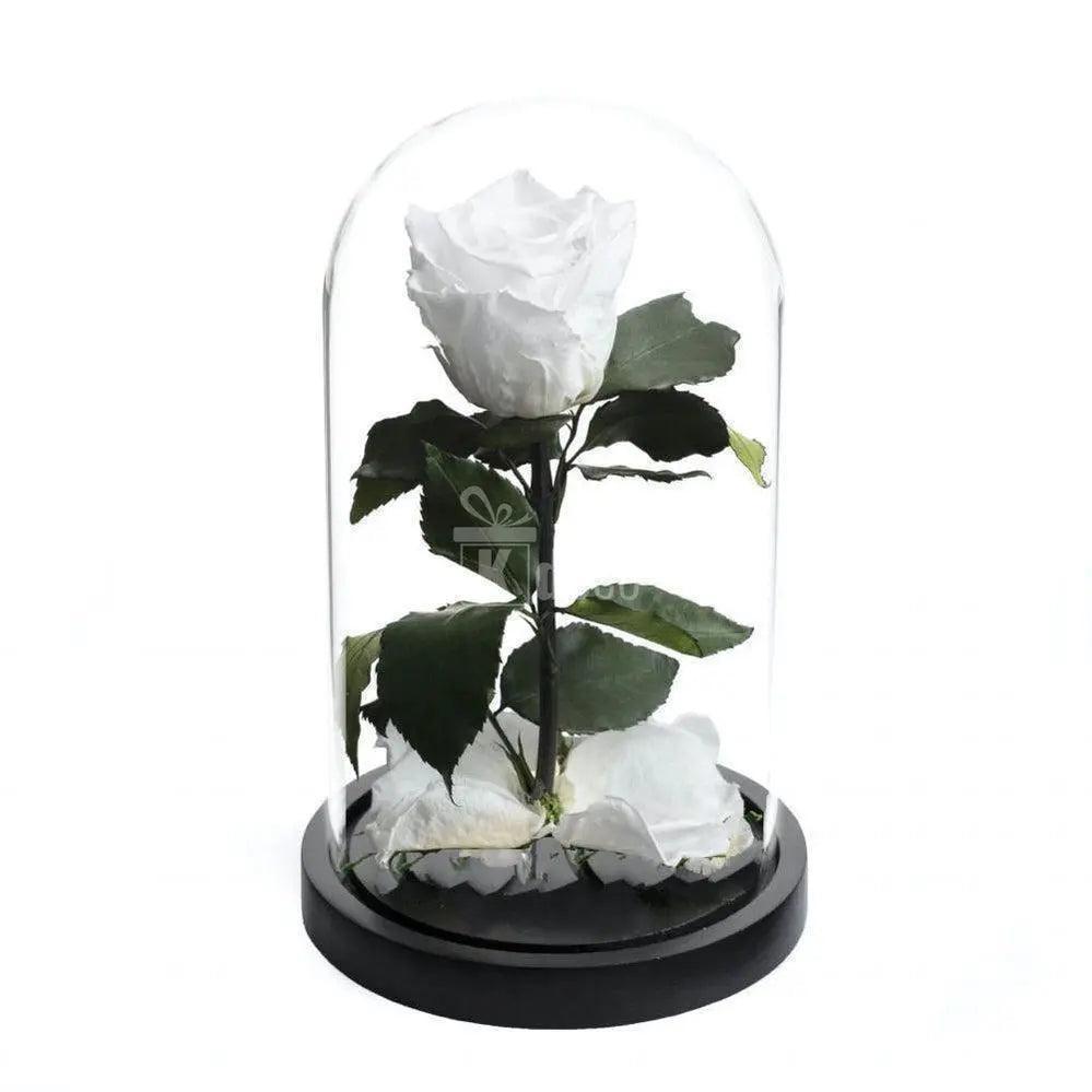 Trandafir Criogenat Alb XL în cupolă de sticlă 10x20cm cu suport de lemn negru, ideal pentru cadouri elegante și decoruri romantice.