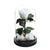 Trandafir Criogenat alb xl Ø6,5cm in cupola 10x20cm - Kdeco.ro