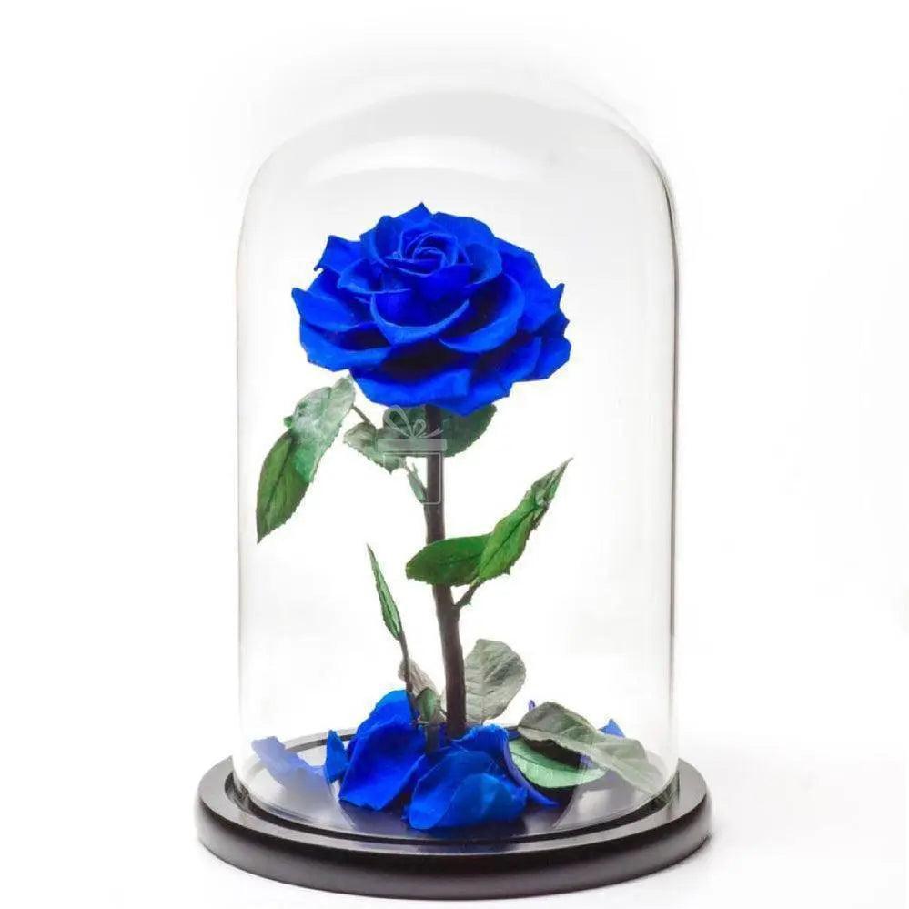 Trandafir Criogenat Albastru Bonita în cupolă elegantă de sticlă Ø9,5cm, 15x25cm, decor floral nemuritor ideal cadou pentru femei.