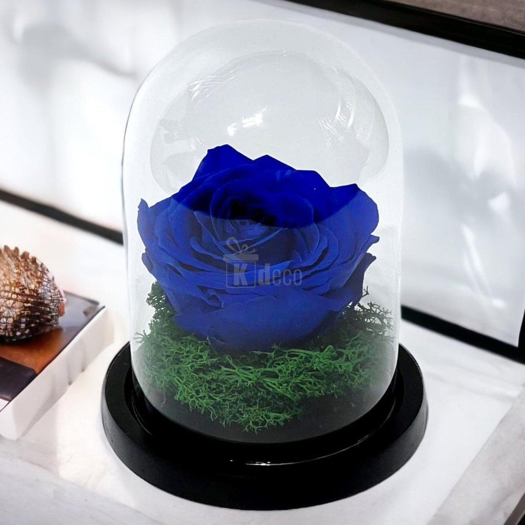 Trandafir Criogenat Premium Albastru în Cupolă de Sticlă - Kdeco.ro