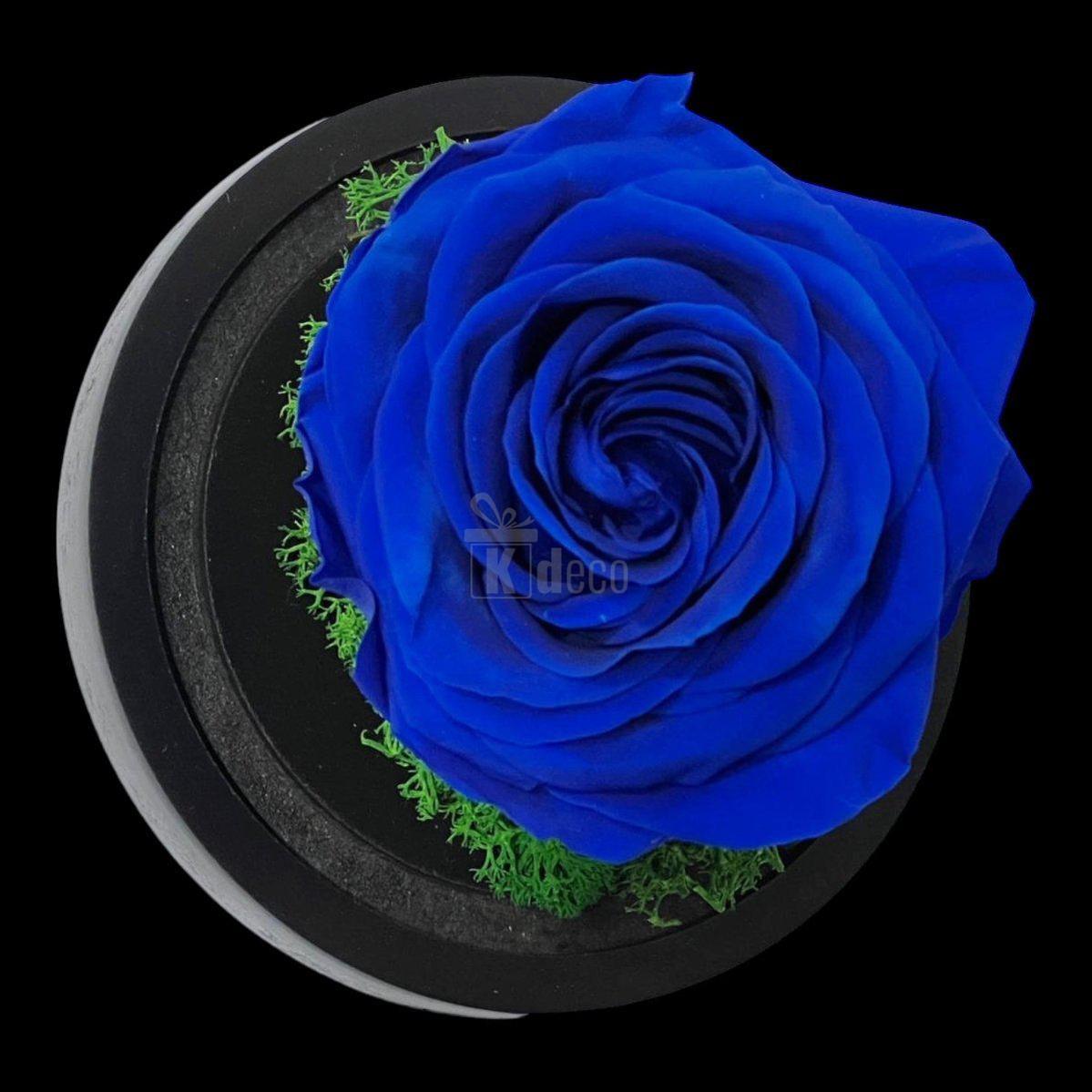 Trandafir Criogenat Premium Albastru în Cupolă de Sticlă - Kdeco.ro