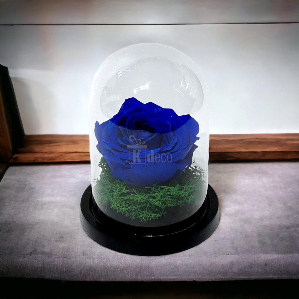 Trandafir Criogenat Premium Albastru în Cupolă de Sticlă - Kdeco.ro