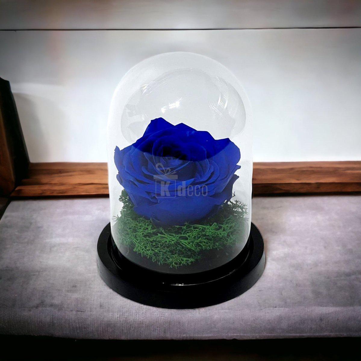 Trandafir Criogenat Premium Albastru în Cupolă de Sticlă - Kdeco.ro