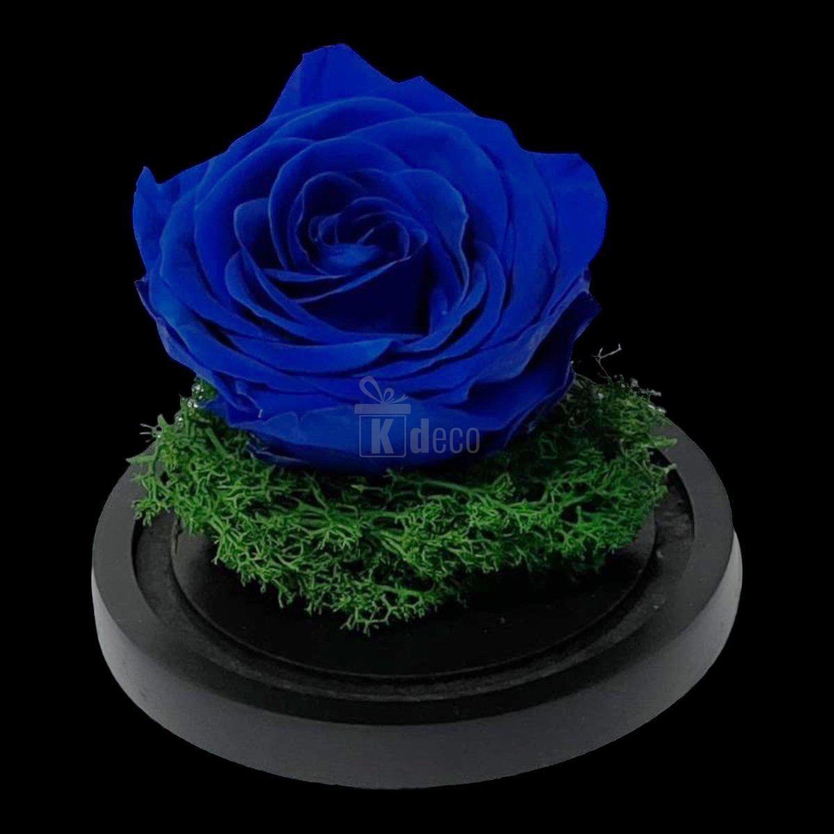 Trandafir Criogenat Premium Albastru în Cupolă de Sticlă - Kdeco.ro