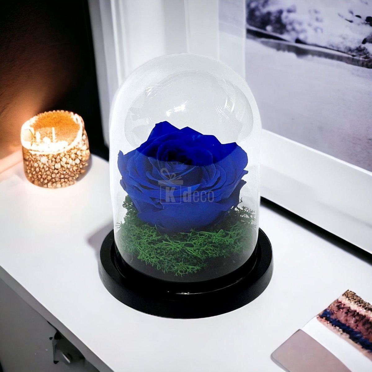 Trandafir Criogenat Premium Albastru în Cupolă de Sticlă - Kdeco.ro