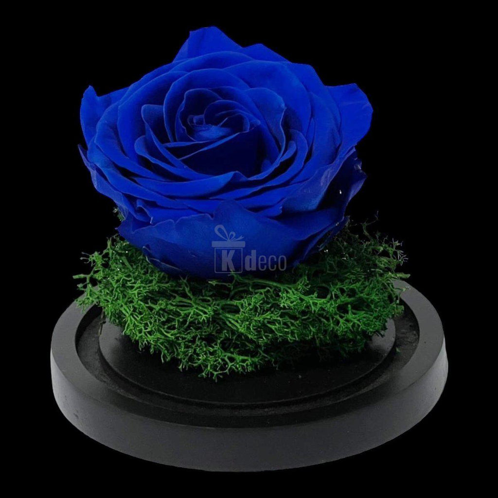 Trandafir Criogenat Premium Albastru în Cupolă de Sticlă - Kdeco.ro