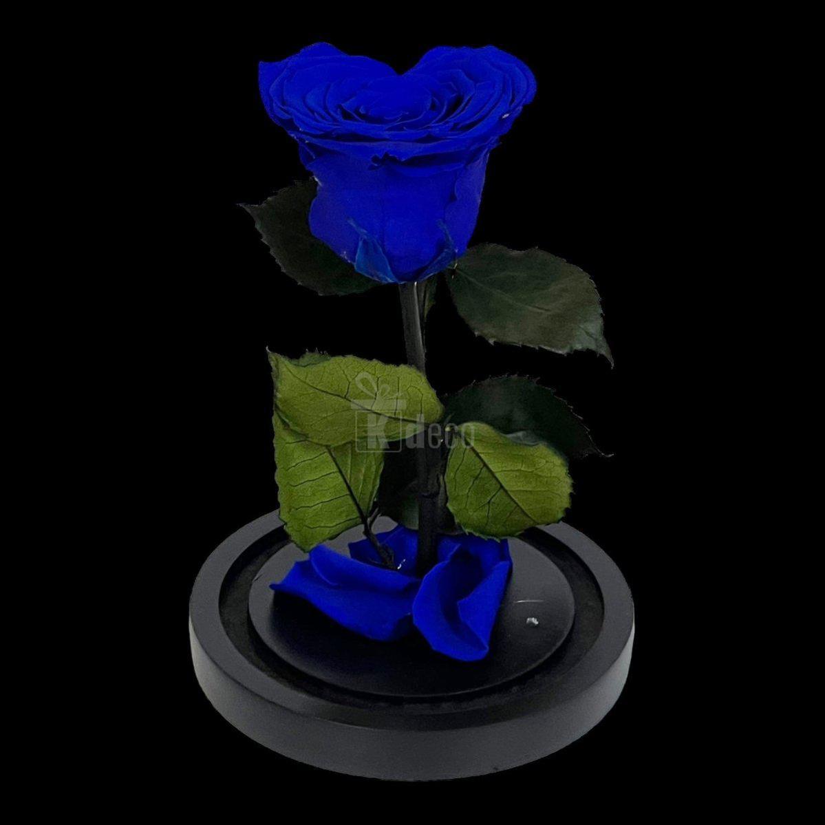 Trandafir Criogenat Albastru în Formă de Inimă în Cupolă de Sticlă - Kdeco.ro