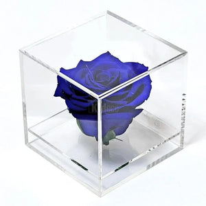 Trandafir Criogenat albastru Ø6cm in cutie transparenta 9x9x9cm - Kdeco.ro
