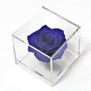 Trandafir Criogenat albastru Ø6cm in cutie transparenta 9x9x9cm - Kdeco.ro
