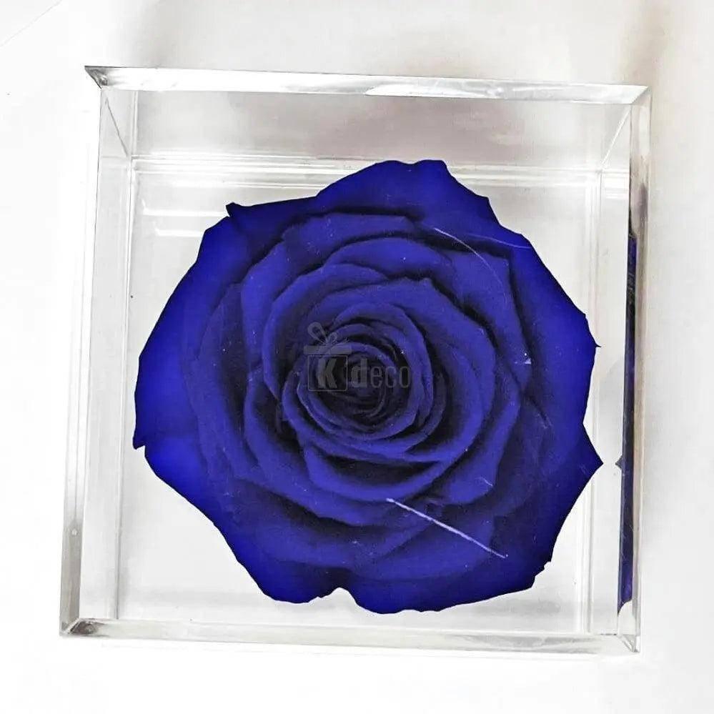 Trandafir Criogenat albastru Ø6cm in cutie transparenta 9x9x9cm - Kdeco.ro