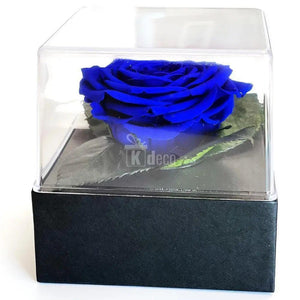 Trandafir Criogenat albastru Ø7-8cm in cutie cadou 10x10x11cm - Kdeco.ro
