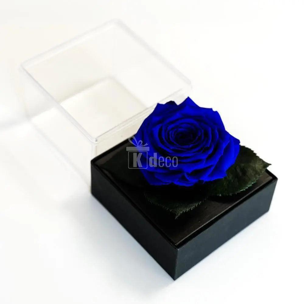 Trandafir Criogenat albastru Ø7-8cm in cutie cadou 10x10x11cm - Kdeco.ro