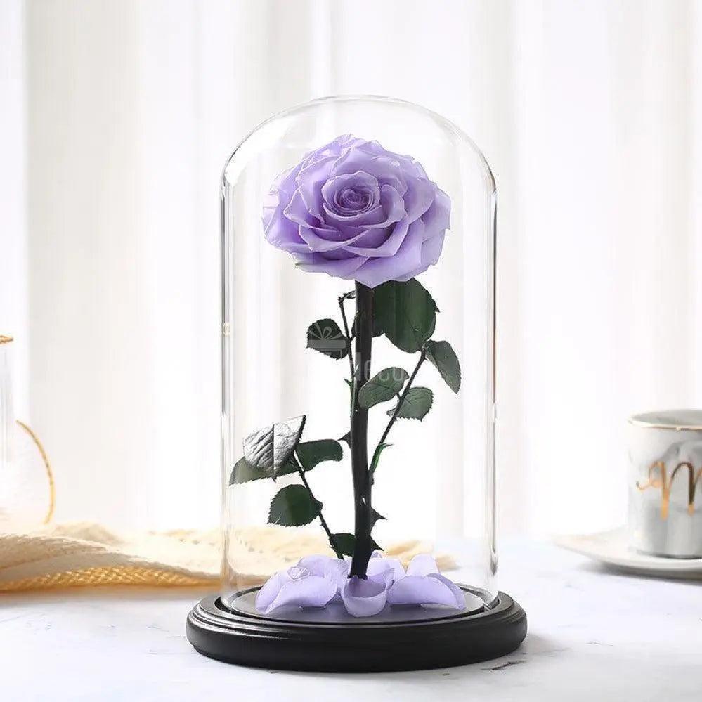 Trandafir Criogenat bella lila Ø8cm in cupola sticla 12x25cm - Kdeco.ro
