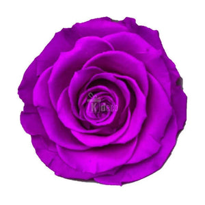 Trandafir Criogenat bella purpuriu Ø8cm in cupola 12x25cm - Kdeco.ro