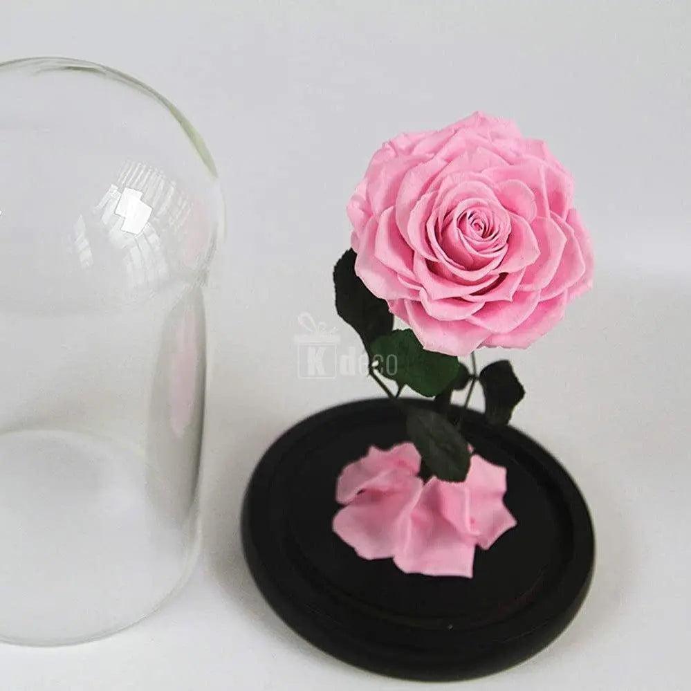 Trandafir Criogenat bella roz Ø8cm in cupola 10x20cm - Kdeco.ro