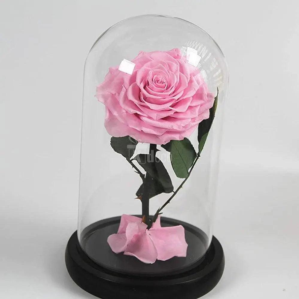 Trandafir Criogenat bella roz Ø8cm in cupola 10x20cm - Kdeco.ro