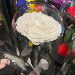 Trandafir Criogenat bonita alb Ø6,5cm in cupola sticla 12x25cm - Kdeco.ro