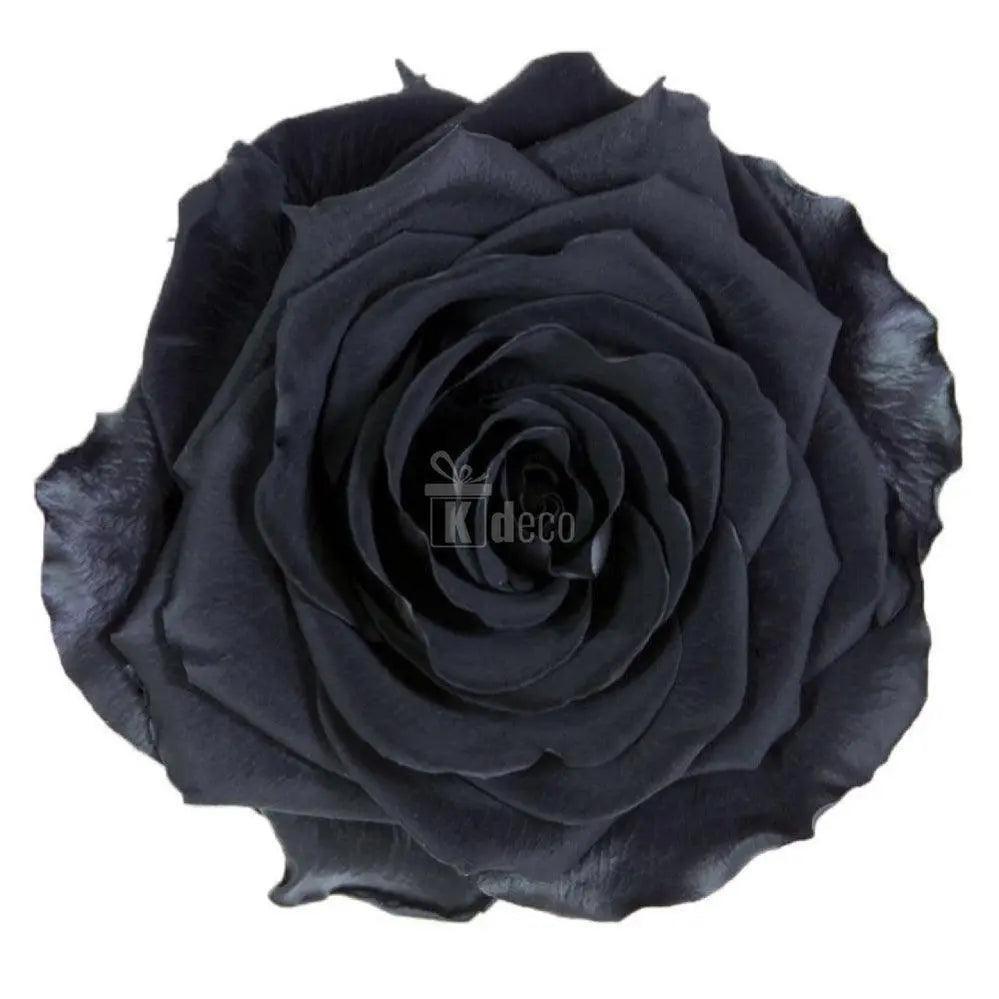 Trandafir Criogenat bonita negru Ø9,5cm in cupola 12x25cm - Kdeco.ro