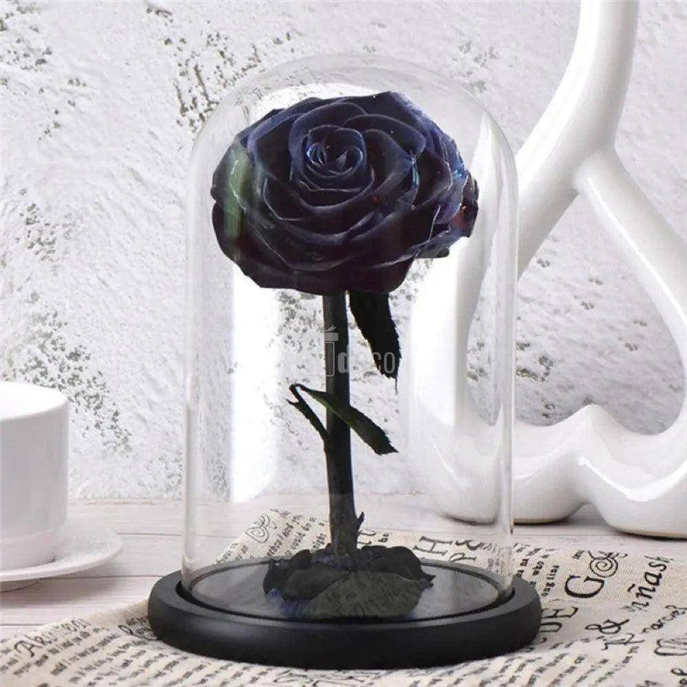 Trandafir Criogenat bonita negru Ø9,5cm in cupola 12x25cm - Kdeco.ro