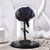Trandafir Criogenat bonita negru Ø9,5cm in cupola 12x25cm - Kdeco.ro