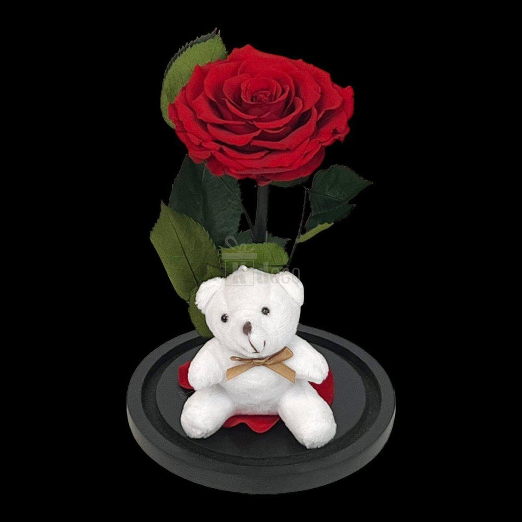 Trandafir Criogenat Bonita Rosu in Cupola Mare cu Ursulet de Plus - Kdeco.ro