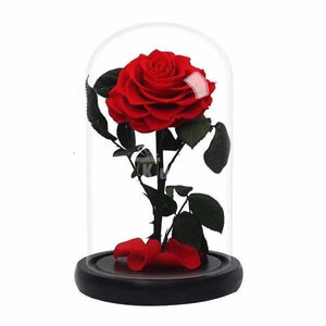 Trandafir Criogenat Bonita rosu Ø9,5cm in cupola 15x25cm - Kdeco.ro