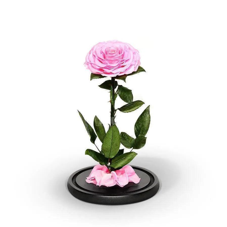 Trandafir Criogenat Bonita roz Ø9,5cm in cupola 15x25cm - Kdeco.ro
