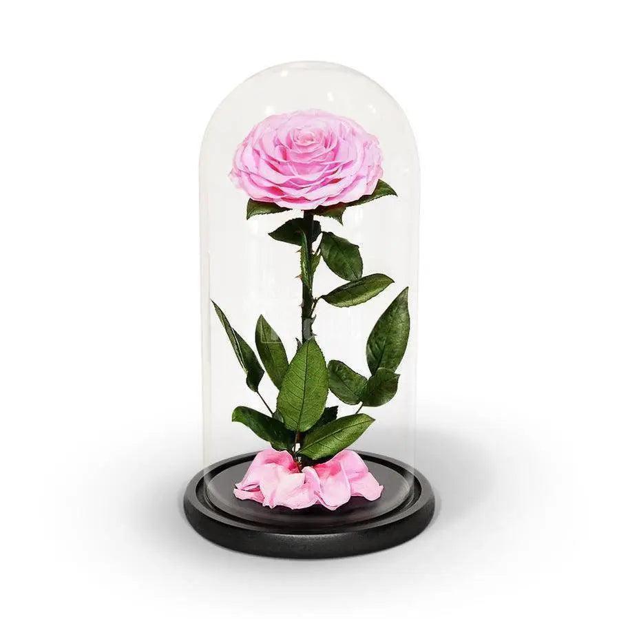 Trandafir Criogenat Bonita roz Ø9,5cm in cupola 15x25cm - Kdeco.ro