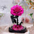 Trandafir Criogenat ciclam bella Ø8cm in cupola 10x20cm - Kdeco.ro