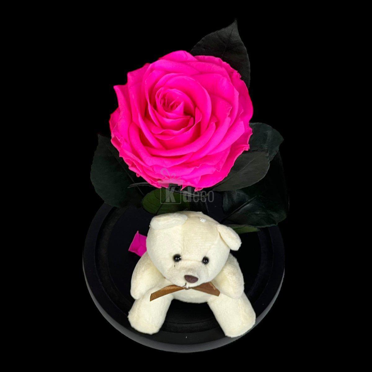 Trandafir Criogenat Premium Ciclam 8cm cu Ursulet - Cupola Sticla - Cadou Etern 25 Ani - Kdeco.ro