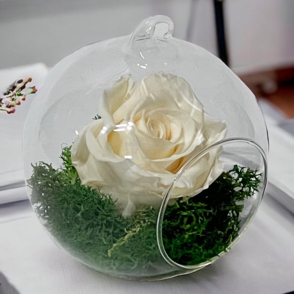 Trandafir Criogenat Crem în Glob de Sticlă cu Diametru 10cm - Kdeco.ro