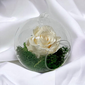 Trandafir Criogenat Crem în Glob de Sticlă cu Diametru 10cm - Kdeco.ro