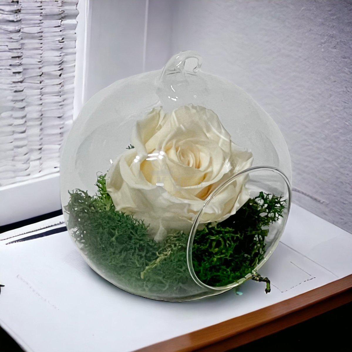 Trandafir Criogenat Crem în Glob de Sticlă cu Diametru 10cm - Kdeco.ro