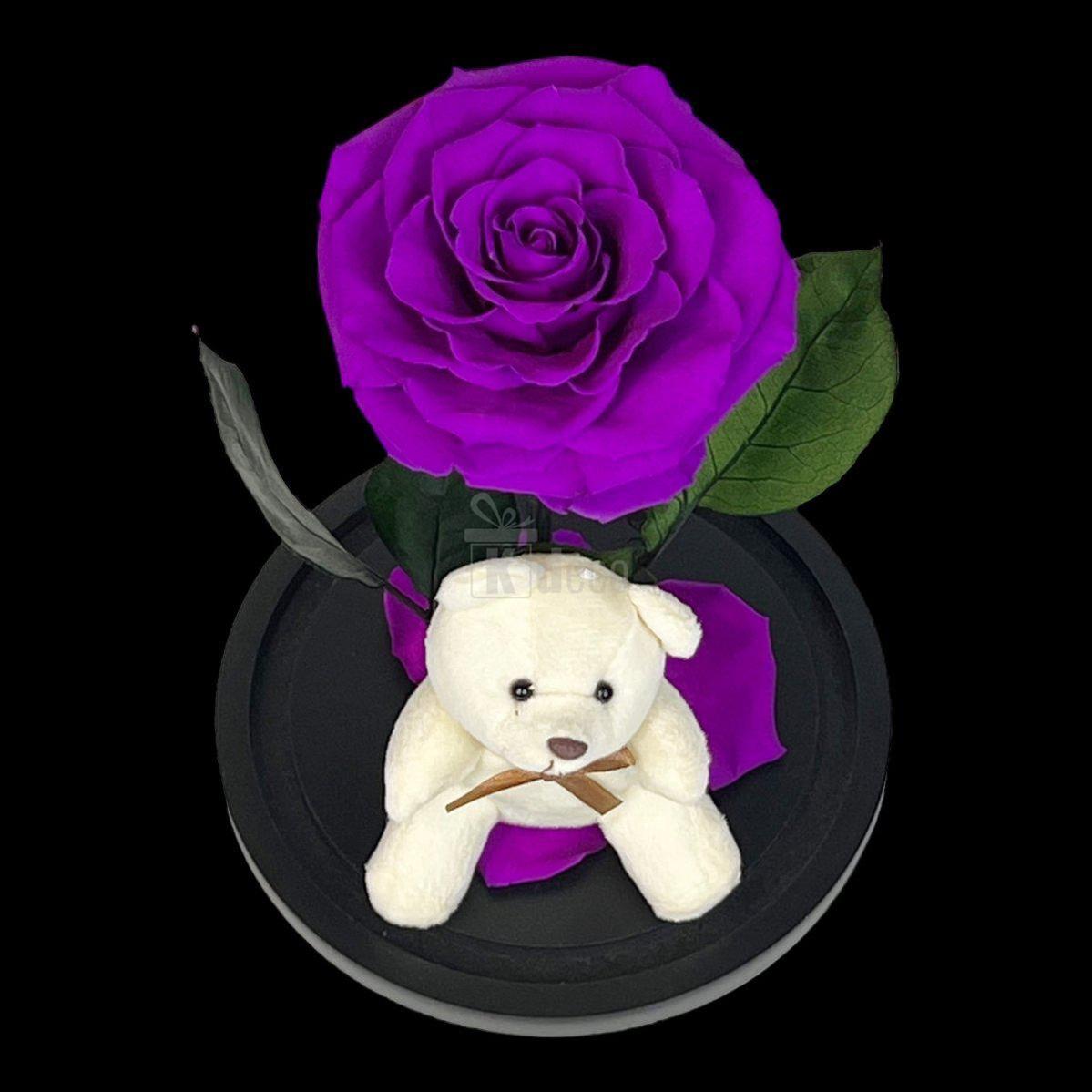 Trandafir Criogenat Șic Bonita Purpuriu în Cupolă de Sticlă 15x25cm cu Ursuleț - Kdeco.ro