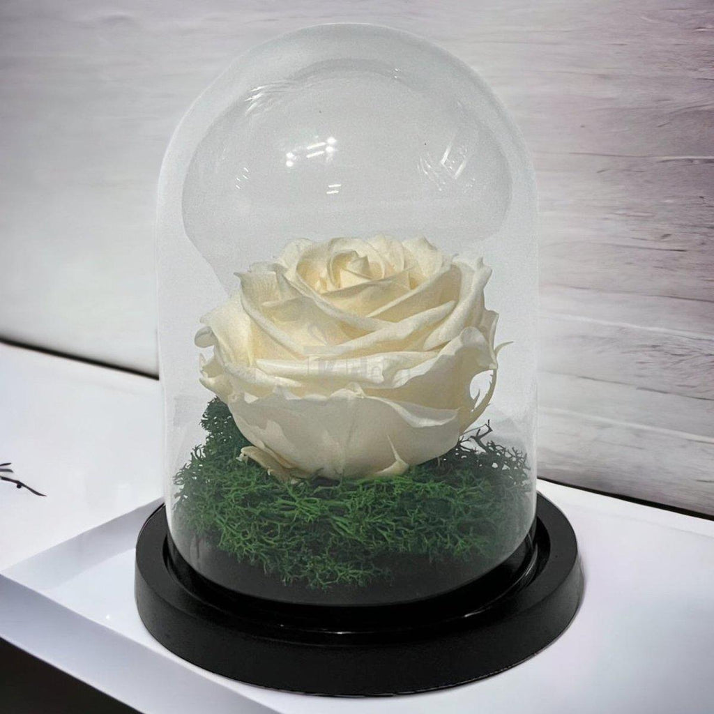 Trandafir Criogenat Premium în Cupolă de Sticlă 10x15cm | Trandafir Nemuritor 8cm | Cadou Unic pentru Ea - Kdeco.ro