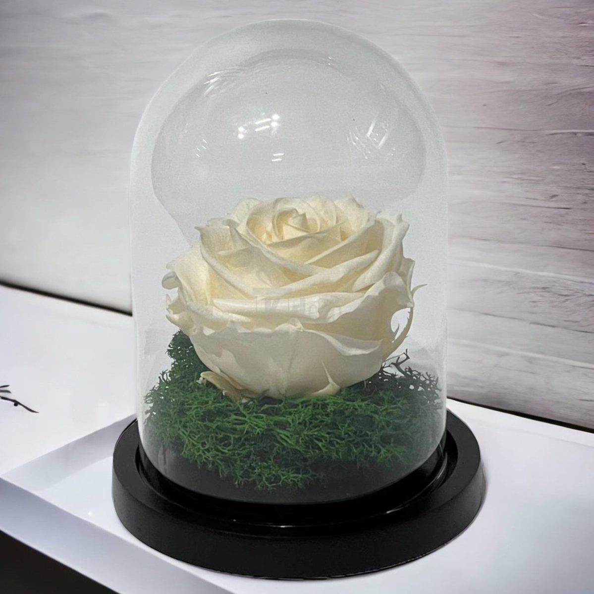 Trandafir Criogenat Premium în Cupolă de Sticlă 10x15cm | Trandafir Nemuritor 8cm | Cadou Unic pentru Ea - Kdeco.ro