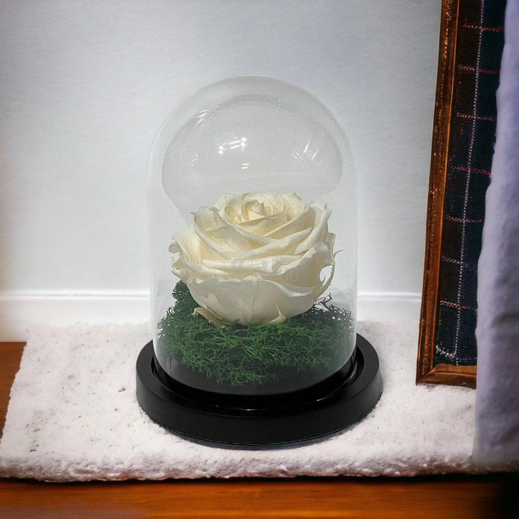 Trandafir Criogenat Premium în Cupolă de Sticlă 10x15cm | Trandafir Nemuritor 8cm | Cadou Unic pentru Ea - Kdeco.ro