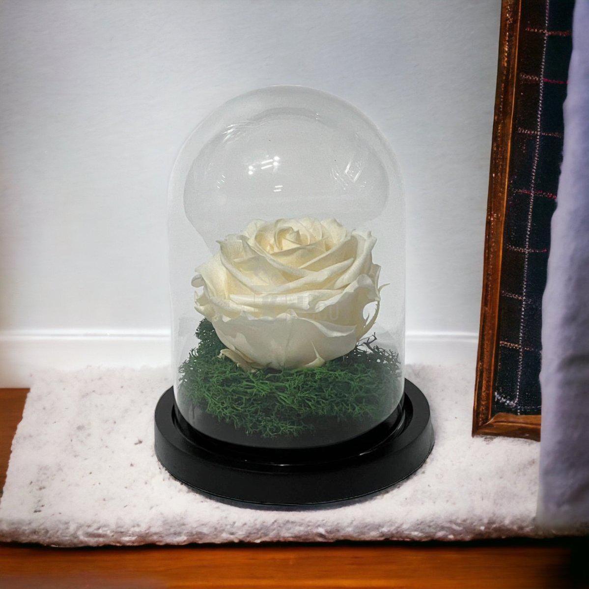 Trandafir Criogenat Premium în Cupolă de Sticlă 10x15cm | Trandafir Nemuritor 8cm | Cadou Unic pentru Ea - Kdeco.ro