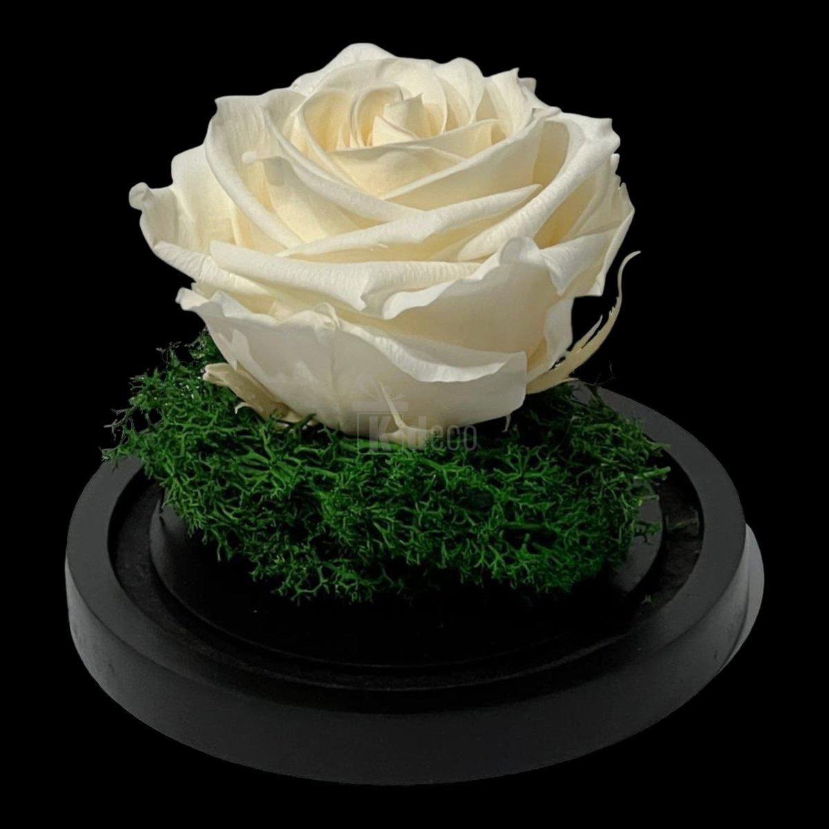 Trandafir Criogenat Premium în Cupolă de Sticlă 10x15cm | Trandafir Nemuritor 8cm | Cadou Unic pentru Ea - Kdeco.ro