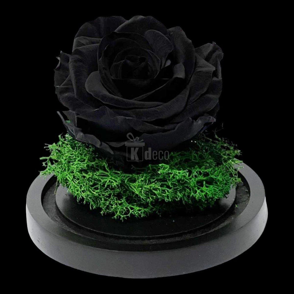 Trandafir Criogenat Premium Negru în Cupolă de Sticlă - 8cm - Kdeco.ro