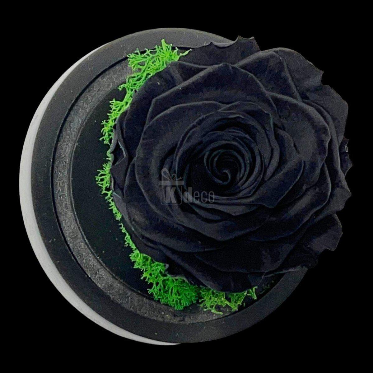 Trandafir Criogenat Premium Negru în Cupolă de Sticlă - 8cm - Kdeco.ro