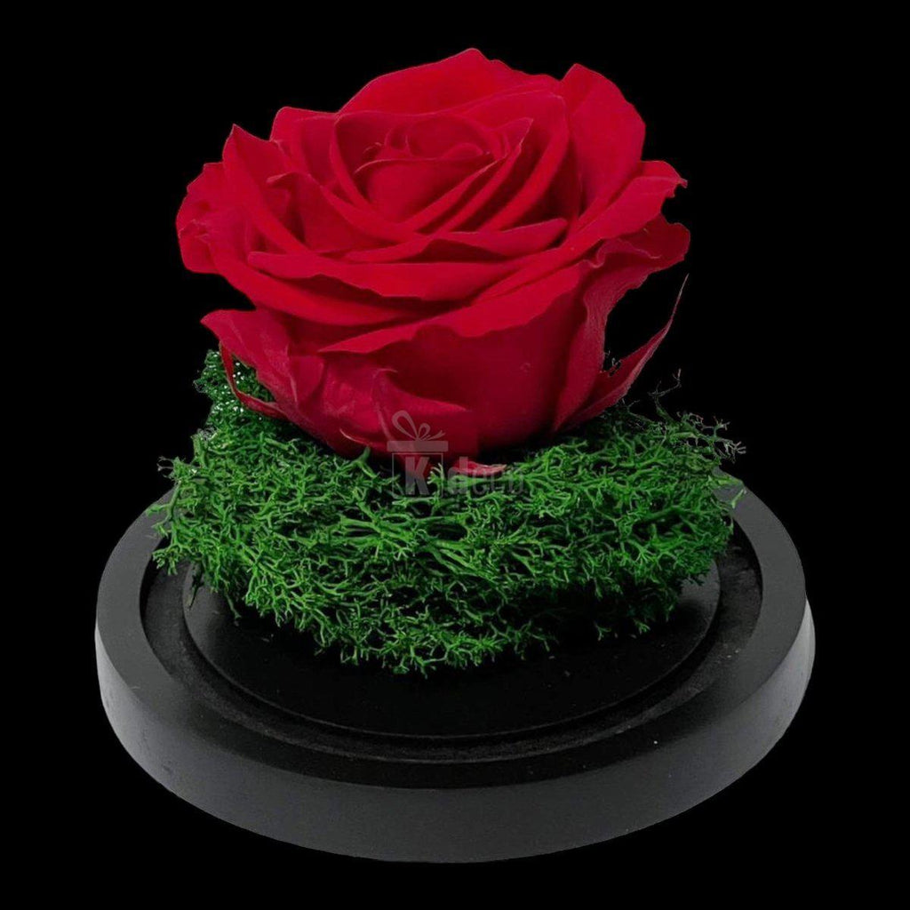 Trandafir Criogenat Premium Rosu in Cupola de Sticla - 25 de Ani de Prospetime - Kdeco.ro