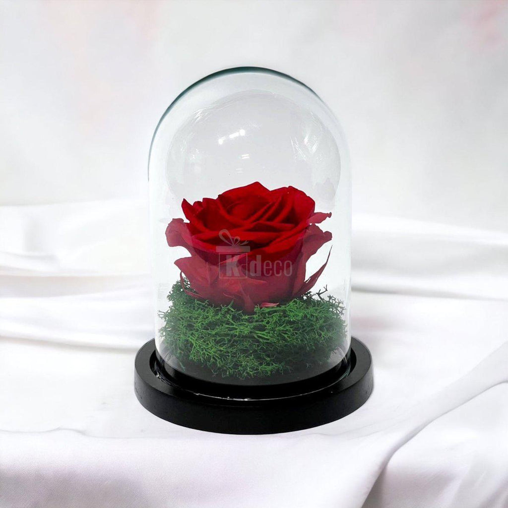 Trandafir Criogenat Premium Rosu in Cupola de Sticla - 25 de Ani de Prospetime - Kdeco.ro