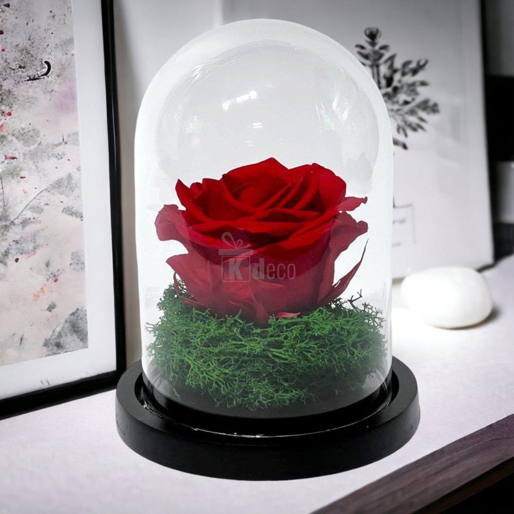 Trandafir Criogenat Premium Rosu in Cupola de Sticla - 25 de Ani de Prospetime - Kdeco.ro