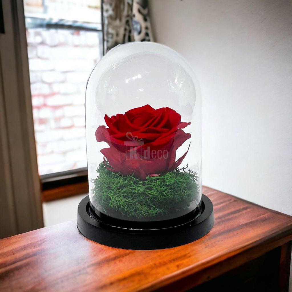 Trandafir Criogenat Premium Rosu in Cupola de Sticla - 25 de Ani de Prospetime - Kdeco.ro