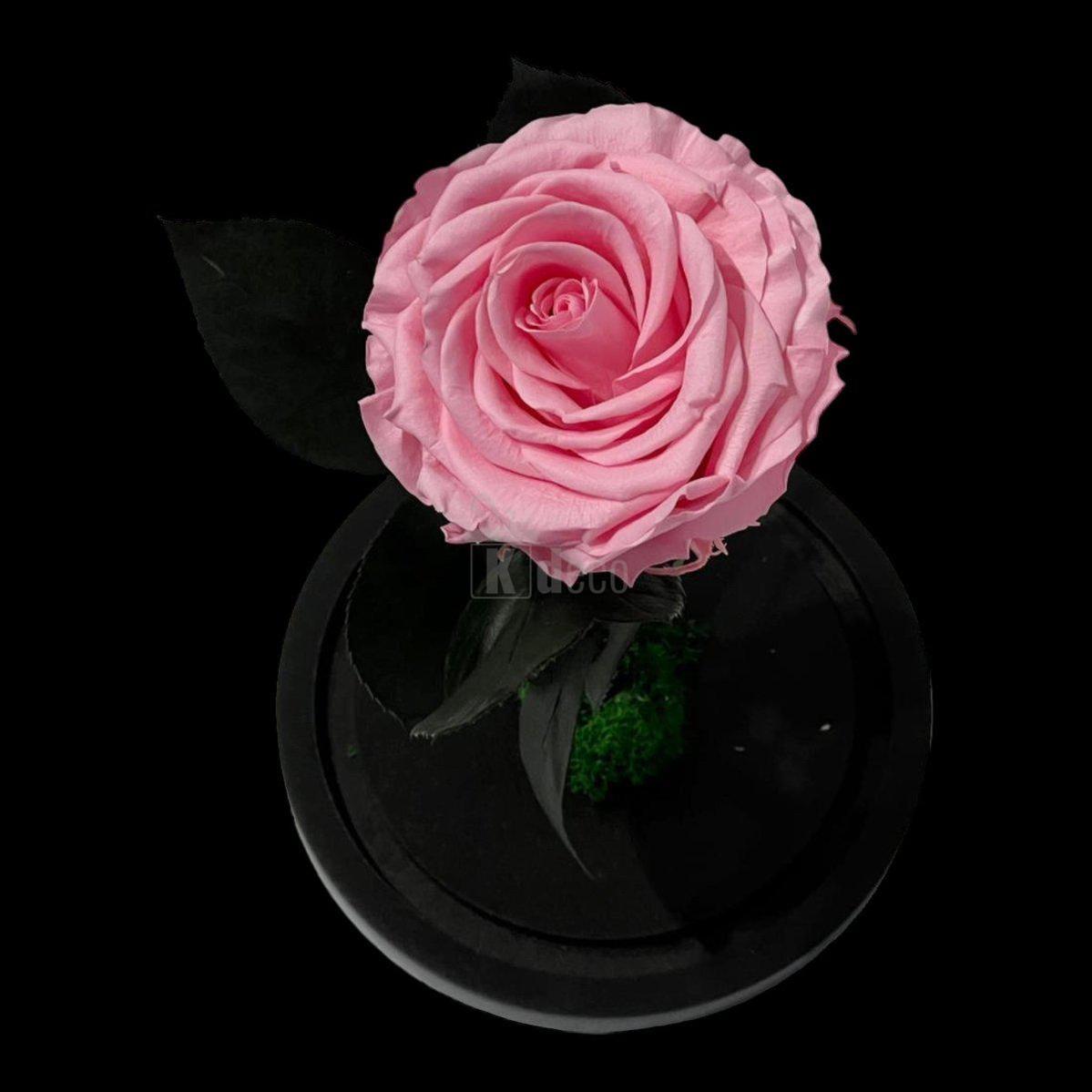 Vedere de sus a Trandafirului Criogenat Elegant Roz Deschis, floare nemuritoare în aranjament floral de lux, perfect pentru cadouri personalizate.