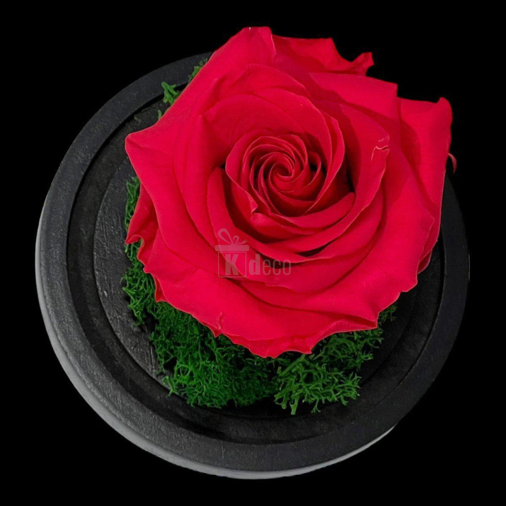 Trandafir Criogenat Premium Roz Inchis în Cupolă de Sticlă - 8cm - Kdeco.ro